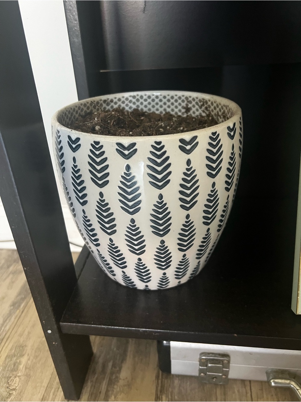 Plant Pot
